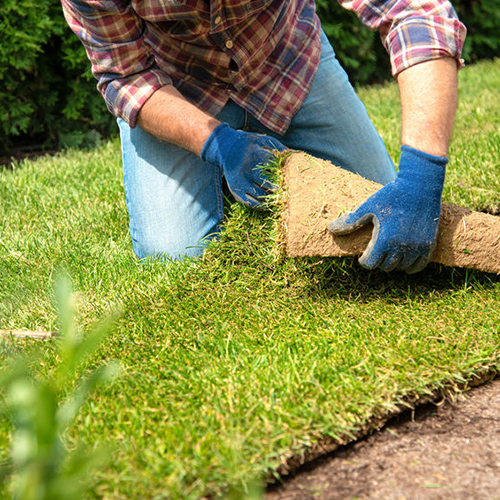 Landscaping Services