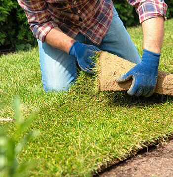 landscape gardeners Essex