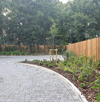 Paving Slab Laying